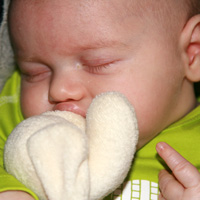 2008-03c.jpg