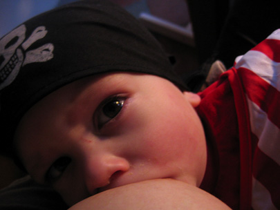 2008-06a.jpg