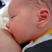 2008-08c.jpg