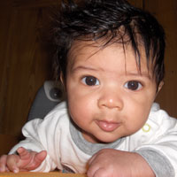 2008-12d.jpg