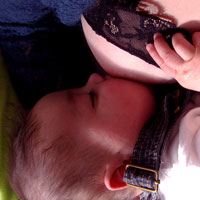 2008-14d.jpg