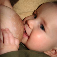 2008-14e.jpg