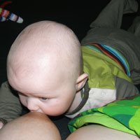 2008-16d.jpg
