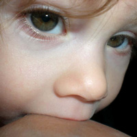 2008-16g.jpg
