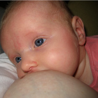 2008-16h2.jpg