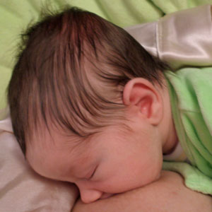 2008-17g.jpg
