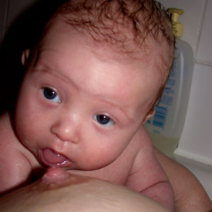 2008-17i.jpg