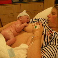2week40-c.jpg